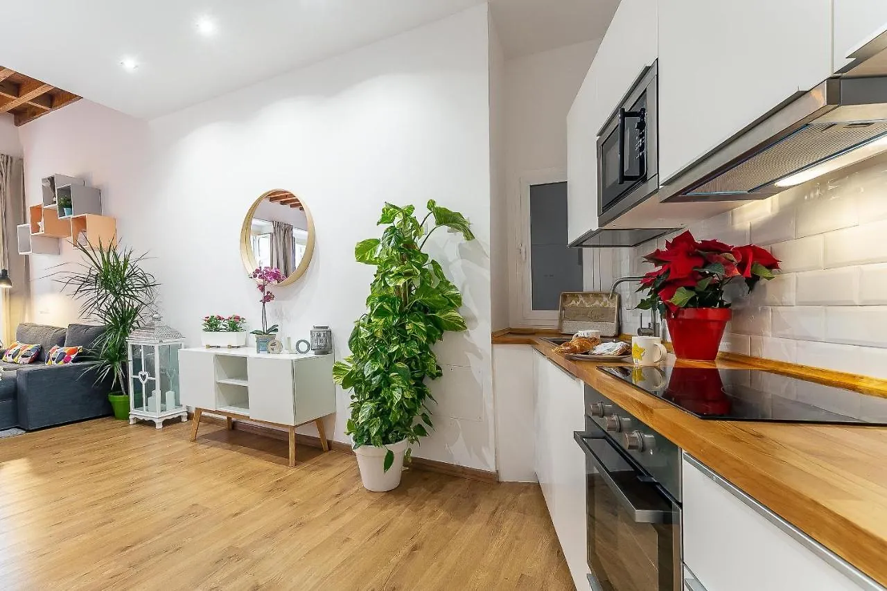 Larios Deluxe Studio Malaga