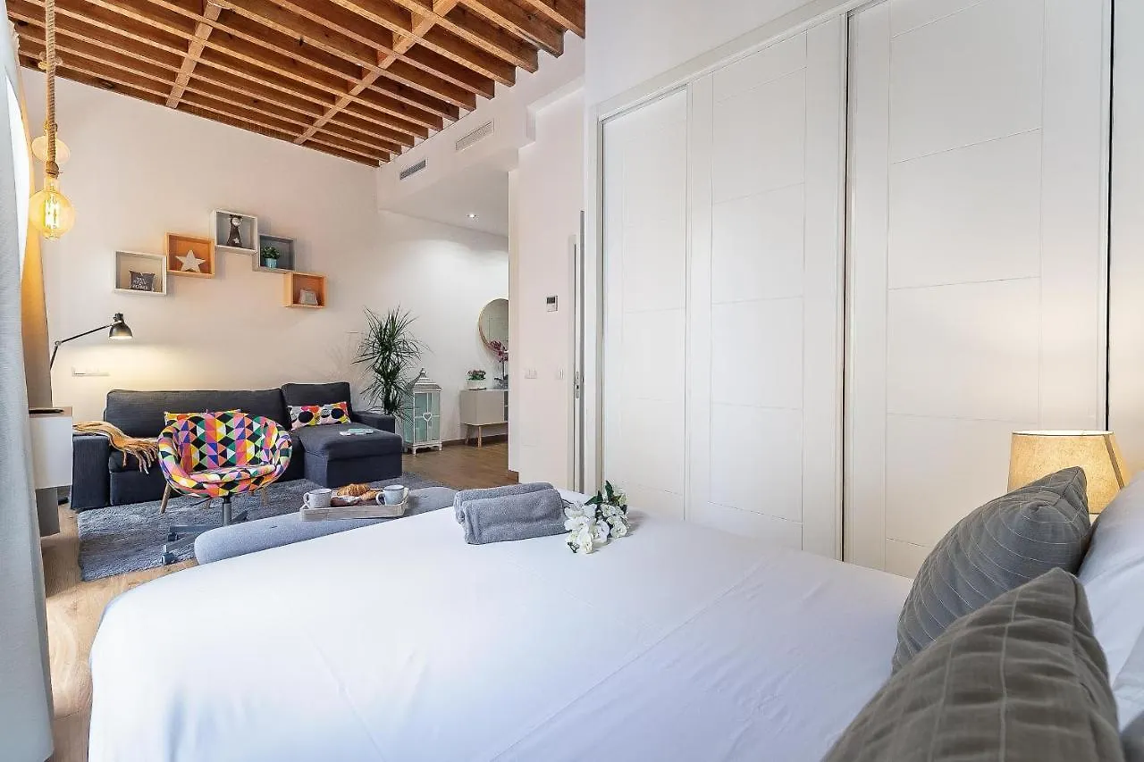 Apartment Larios Deluxe Studio Malaga Spain