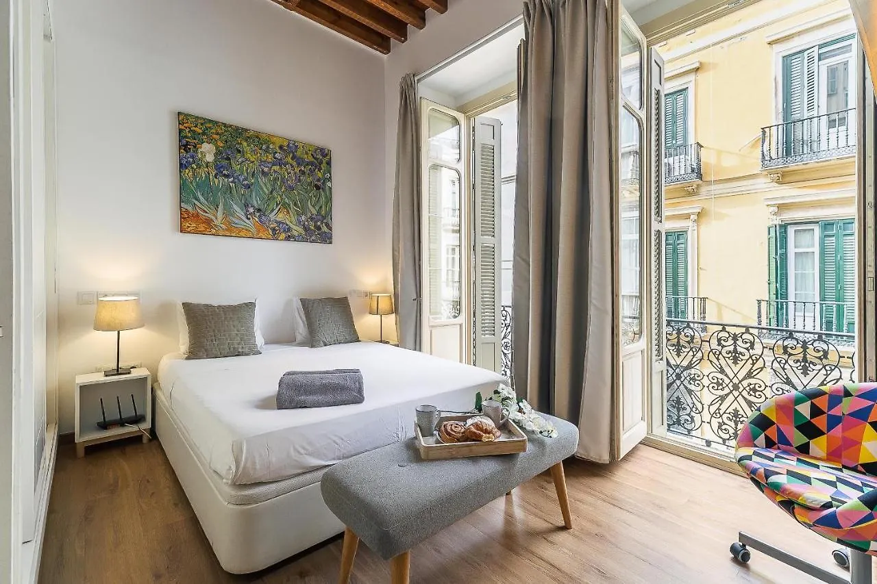 Larios Deluxe Studio Malaga Apartment