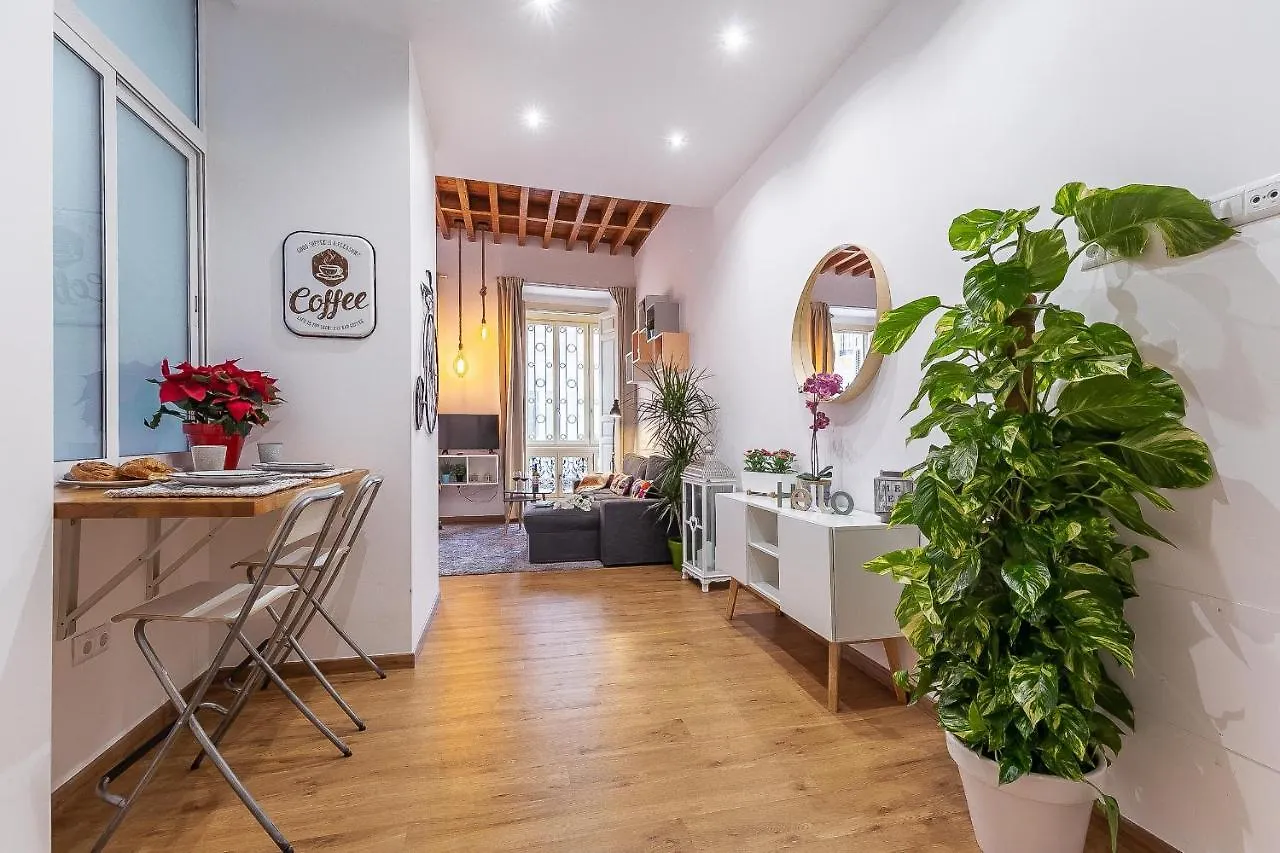 Apartment Larios Deluxe Studio Malaga Spain